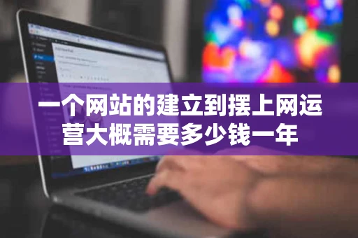 一个网站的建立到摆上网运营大概需要多少钱一年