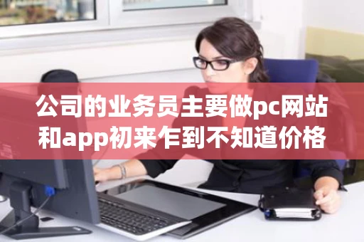 公司的业务员主要做pc网站和app初来乍到不知道价格求指导上海
