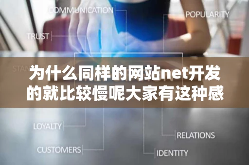 为什么同样的网站net开发的就比较慢呢大家有这种感觉么我看了很
