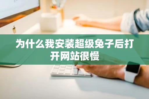 为什么我安装超级兔子后打开网站很慢