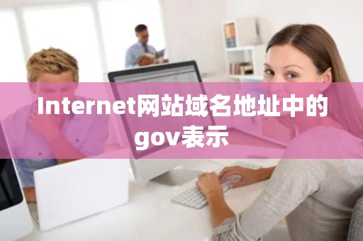 Internet网站域名地址中的gov表示