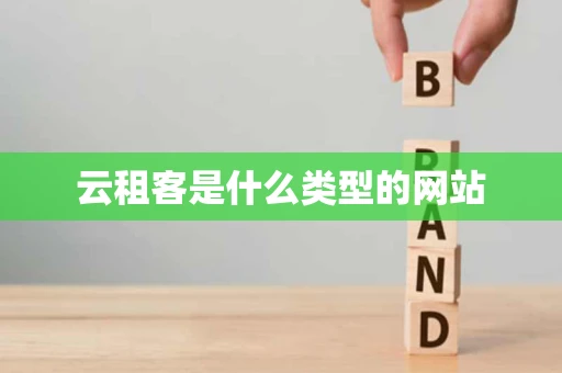 云租客是什么类型的网站