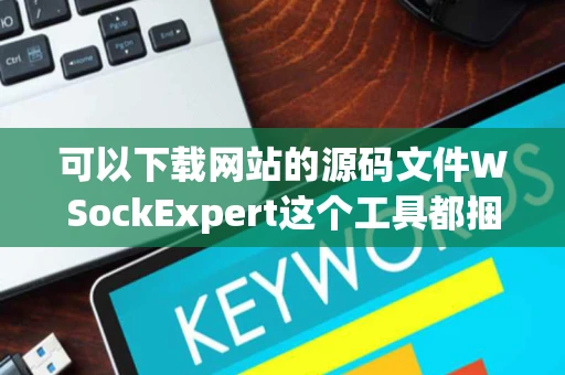 可以下载网站的源码文件WSockExpert这个工具都捆绑病毒不敢用