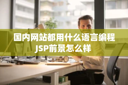国内网站都用什么语言编程JSP前景怎么样