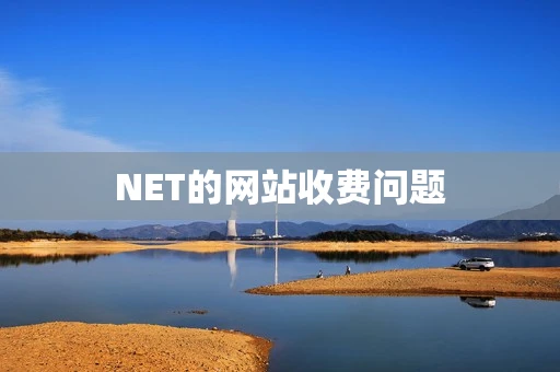 NET的网站收费问题