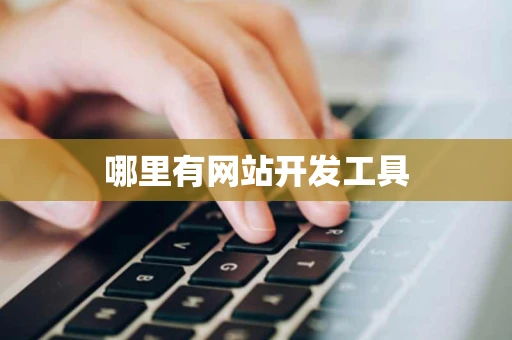 哪里有网站开发工具