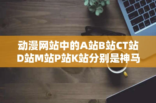 动漫网站中的A站B站CT站D站M站P站K站分别是神马还有神马