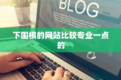 下围棋的网站比较专业一点的