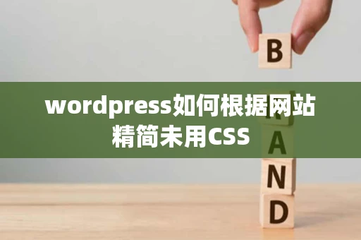 wordpress如何根据网站精简未用CSS