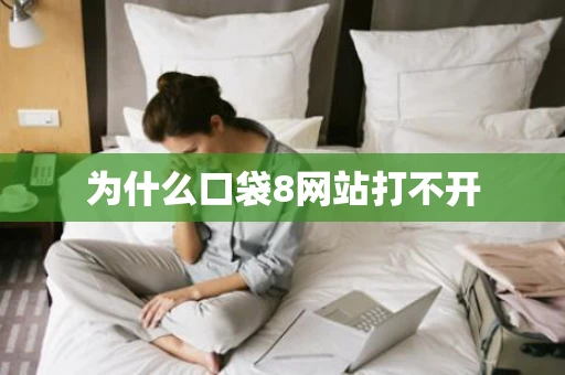 为什么口袋8网站打不开