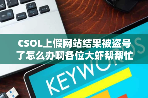 CSOL上假网站结果被盗号了怎么办啊各位大虾帮帮忙每天改密码