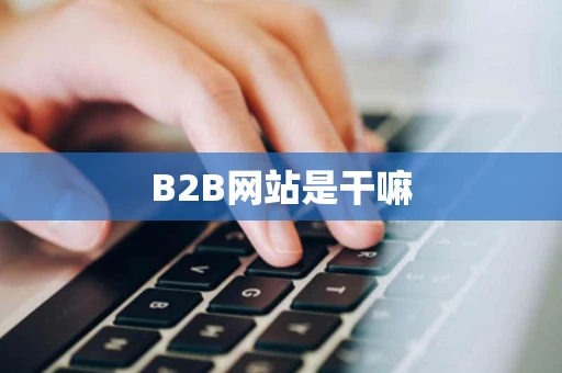B2B网站是干嘛