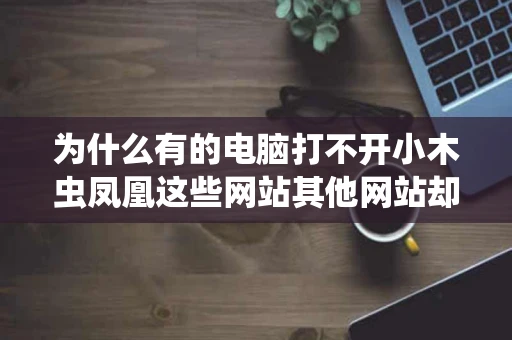 为什么有的电脑打不开小木虫凤凰这些网站其他网站却可以