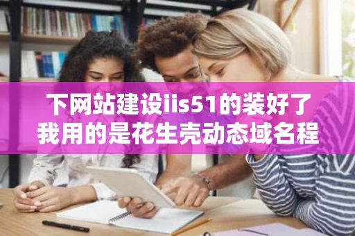 下网站建设iis51的装好了我用的是花生壳动态域名程序运行也成功