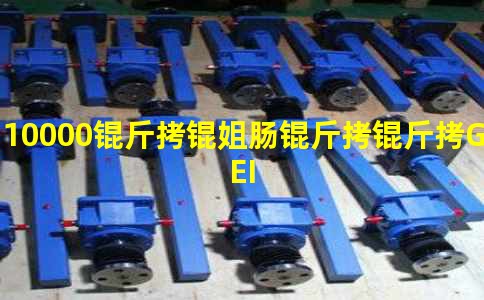 10000���㳦����GEI