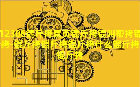 12306��Ʊҳ���а���-������ʲô��˼��