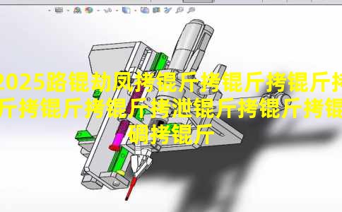 2025·�ٷ�������������й�����ʵ�������������Ժ���