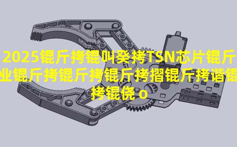 2025���й�TSNоƬ��ҵ������ߡ��г���ģ�����Ʒ���