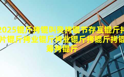 2025���й��ڴ滥��оƬ��ҵ��ҵ�����г���ģ����չ���Ʒ���