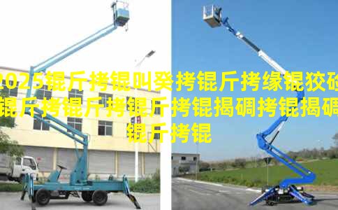 2025���й���Ե�Ƽ��������ҵ��ҵ�����г���ģ����չ���Ʒ���