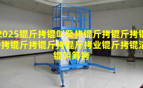 2025���й�������������ҵ���ࡢ�г���ģ��������ַ���