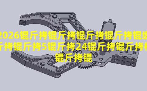 2026���������ɽ���5��24����ǹ����