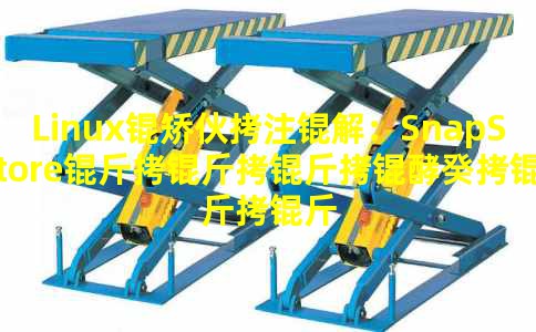 Linux�û�ע�⣺SnapStore�������͹��������������ɺڿͺ���
