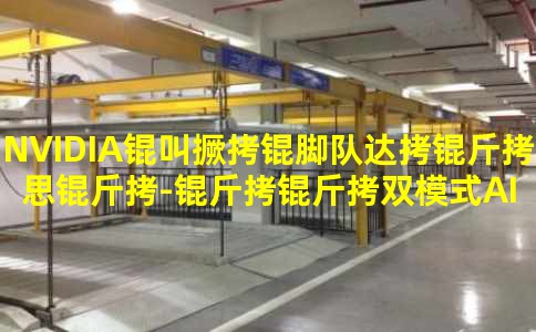 NVIDIA�о��ŶӴ���˼��-����˫ģʽAI