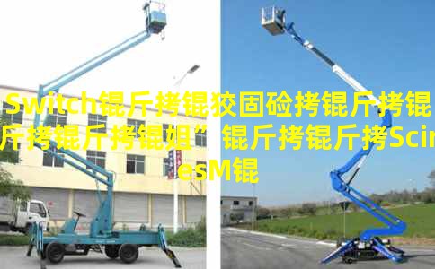 Switch���ƹ̼��������㡱����SciresM�����Ӻڿ�Ȧ����