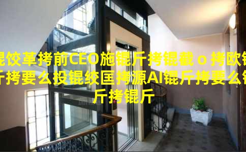 �ȸ�ǰCEOʩ���أ�ŷ��ҪôͶ�ʿ�ԴAI��Ҫô�����й�ģ��