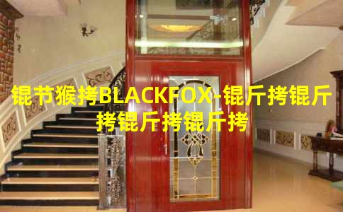 �ں�BLACKFOX-��������