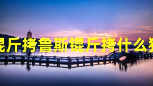 ��³˹��ʲôè