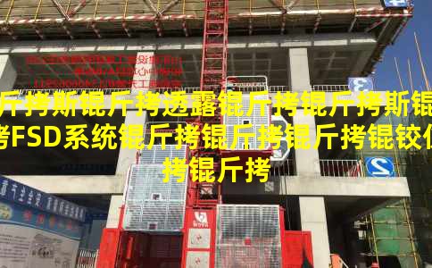 ��˹��͸¶����˹��FSDϵͳ�������»���ŷ�����׼