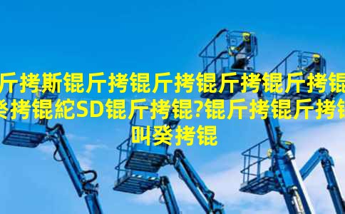 ��˹���������˹��FSD���2�����й�����Optimus���꿪��