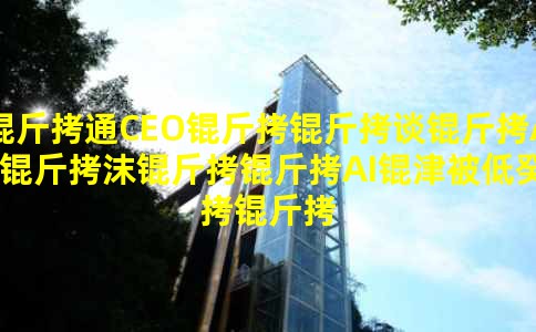 ��ͨCEO����̸��AI��ĭ����AI�򱻵͹�������Ҫʱ��չ��