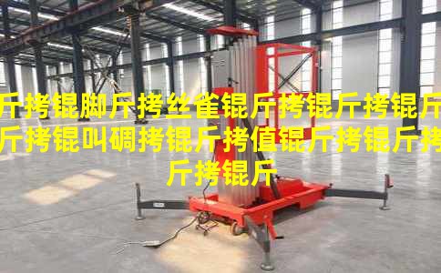 ���Ž�˿ȸ���������е���ֵ��������