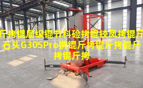 ���켶�ڿƼ��·���ʯͷG30SProЯ��������3