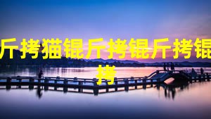 ����è��������