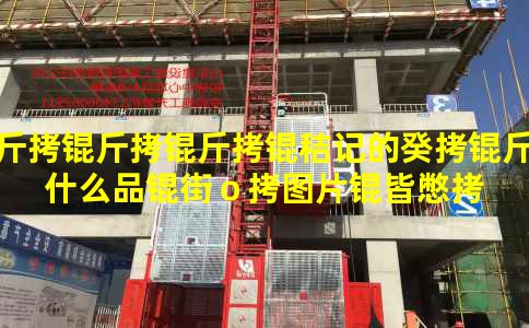 �������ռǵĹ���ʲôƷ�֣�ͼƬ�Ա�